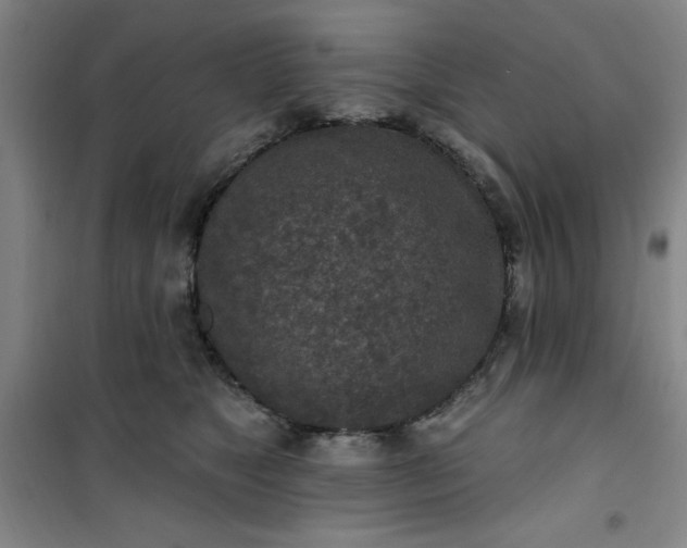 X0000101150517200807111008