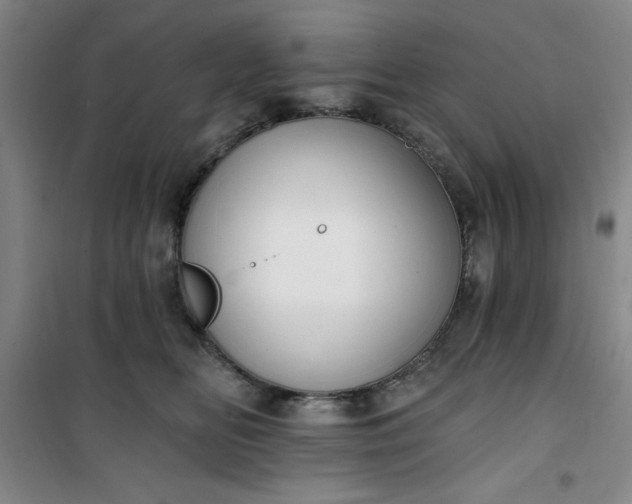 X0000101150518200807111008