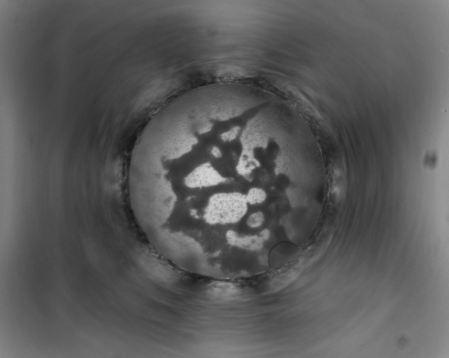 X0000101150519200807111008