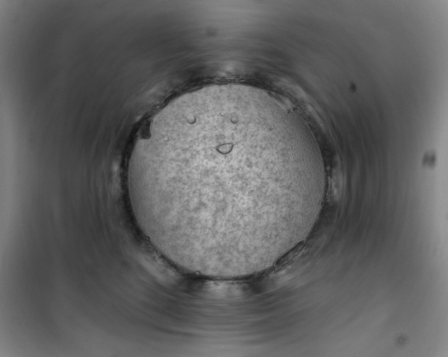 X0000101150520200807111008