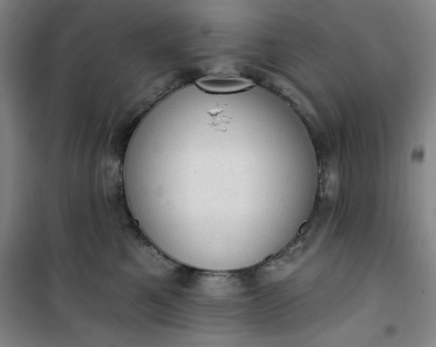 X0000101150521200807111008