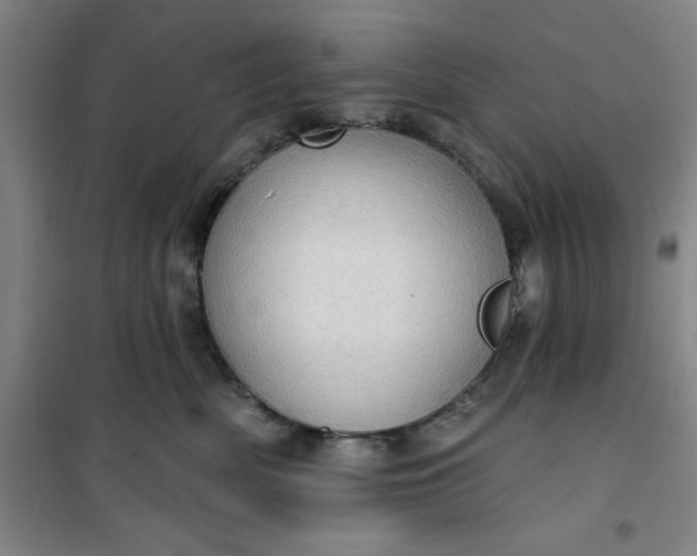 X0000101150522200807111008