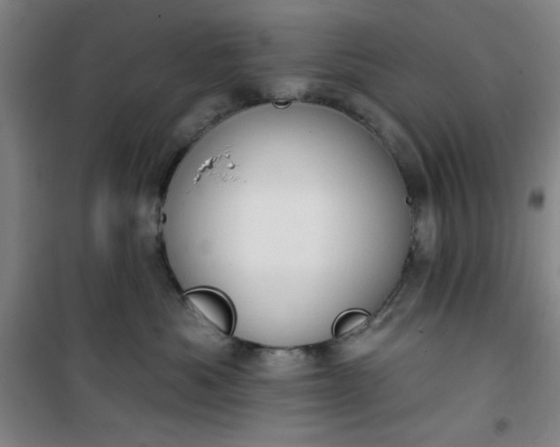 X0000101150525200807111008