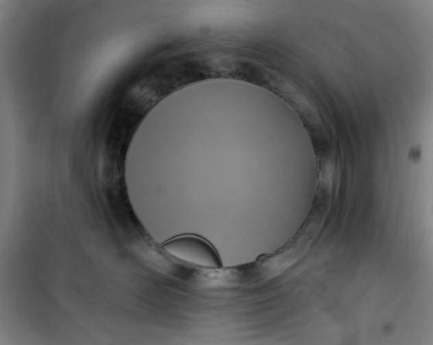 X0000101150526200807111008