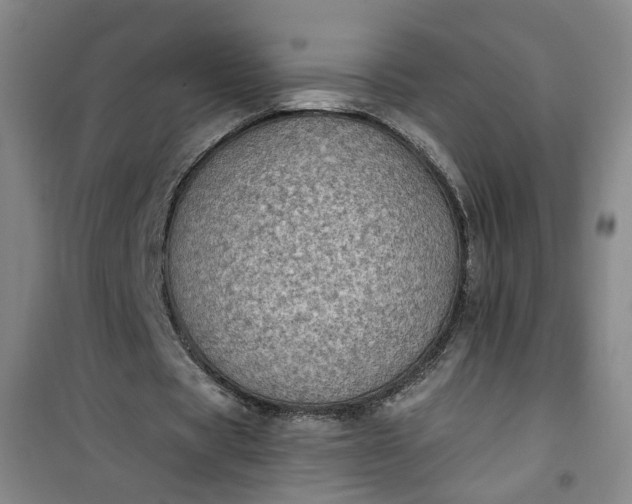 X0000101150529200807111007