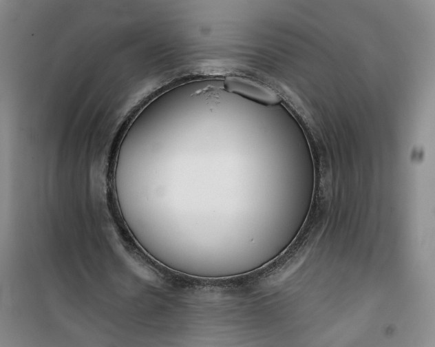 X0000101150530200807111007