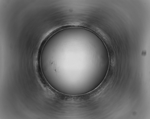 X0000101150532200807111007