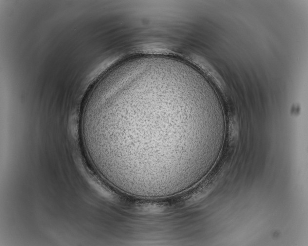 X0000101150533200807111007