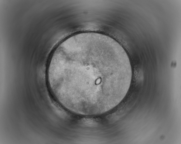 X0000101150534200807111008