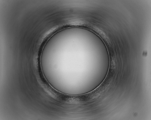 X0000101150535200807111008