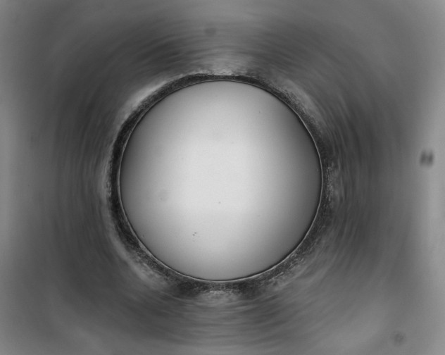 X0000101150536200807111008