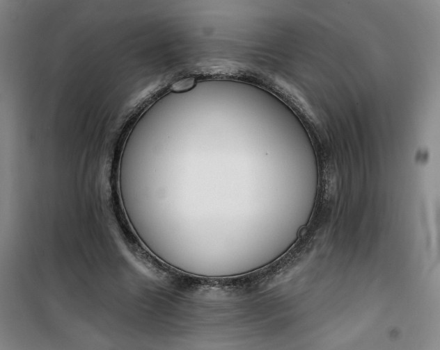 X0000101150538200807111008