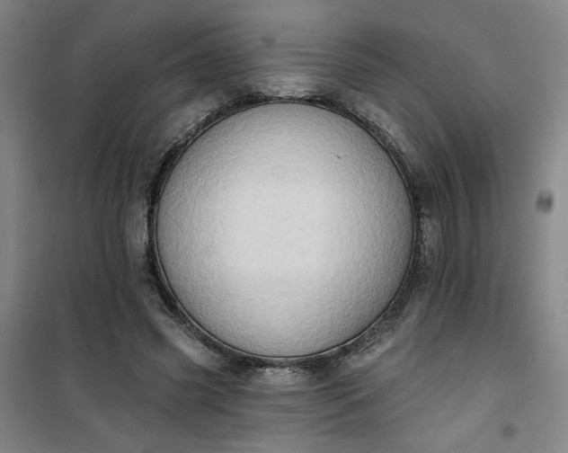 X0000101150541200807111008