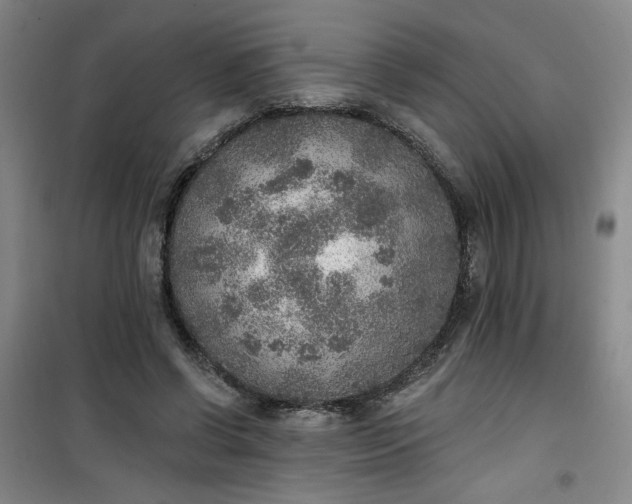 X0000101150542200807111008