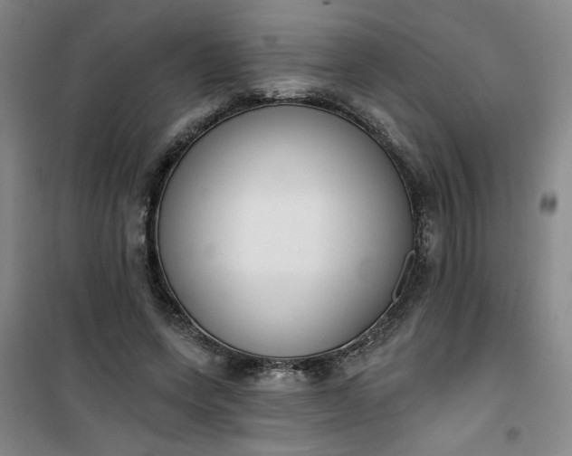 X0000101150543200807111008