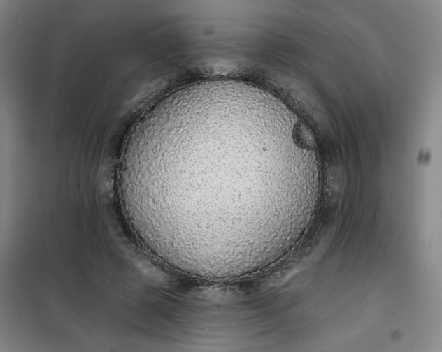 X0000101150545200807111008