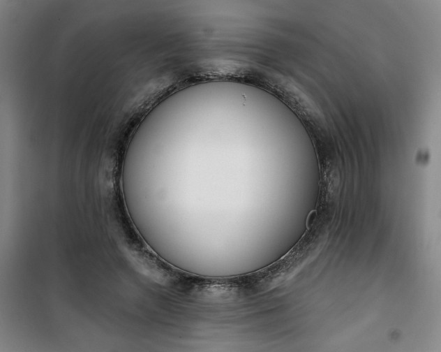 X0000101150546200807111008