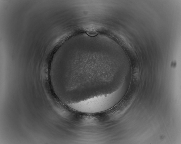 X0000101150547200807111008