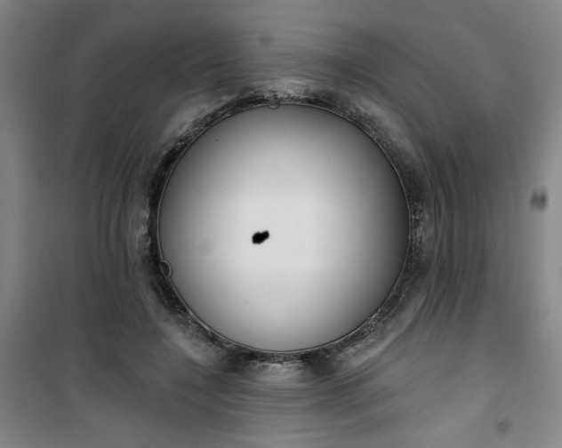 X0000101150548200807111008