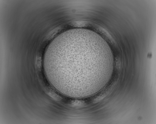 X0000101150549200807111008