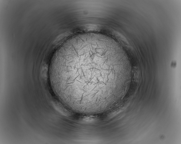 X0000101150550200807111008