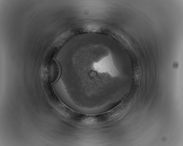 X0000101150551200807111008