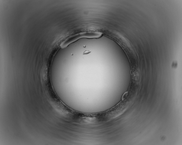 X0000101150552200807111008