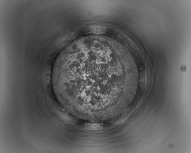 X0000101150553200807111008