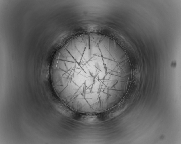 X0000101150554200807111008