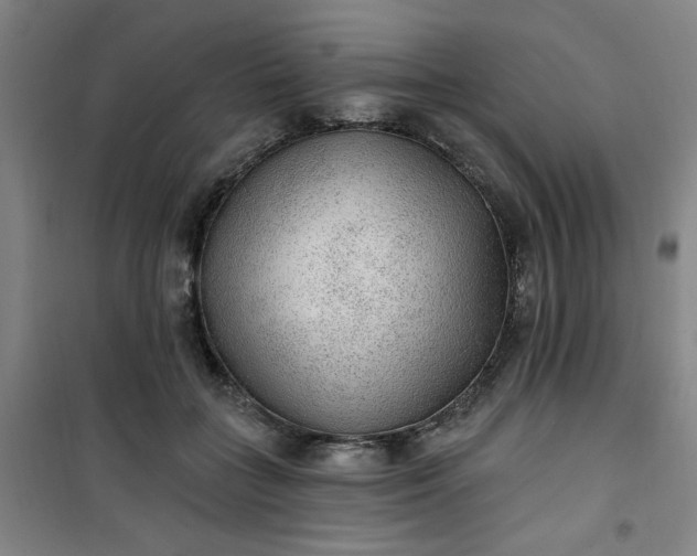 X0000101150555200807111008