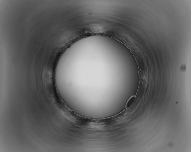 X0000101150556200807111008