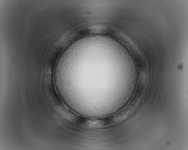 X0000101150557200807111008