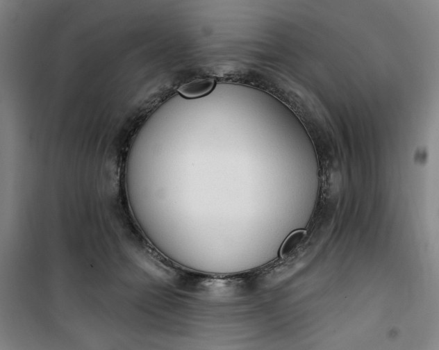 X0000101150558200807111008