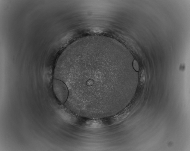 X0000101150559200807111008