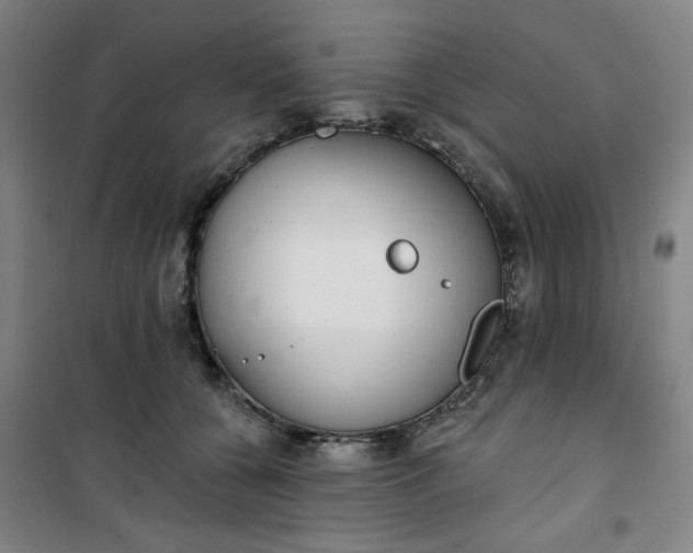 X0000101150560200807111008