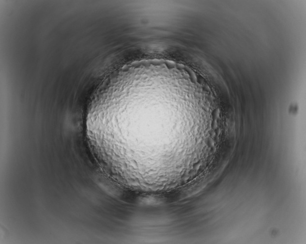 X0000101150561200807111008