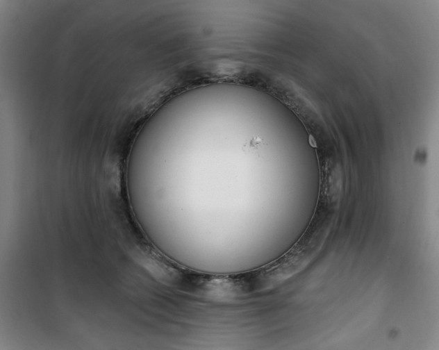 X0000101150562200807111008