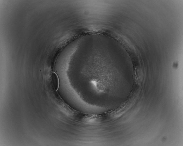 X0000101150563200807111008