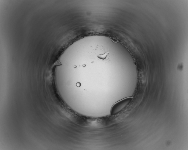 X0000101150564200807111008