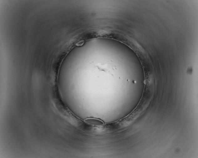 X0000101150565200807111008