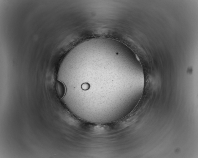 X0000101150566200807111008