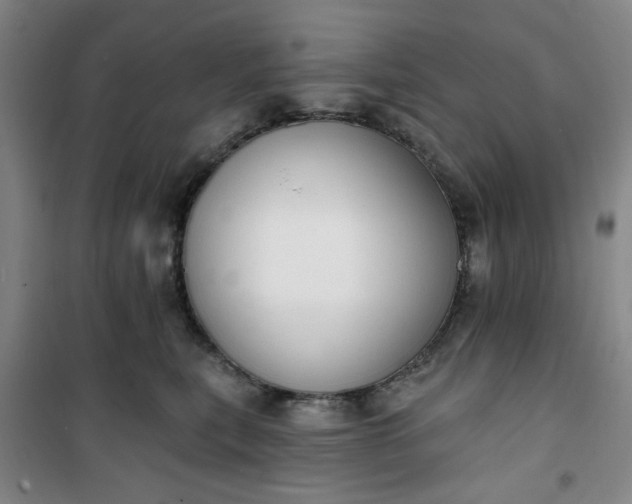 X0000101150567200807111008