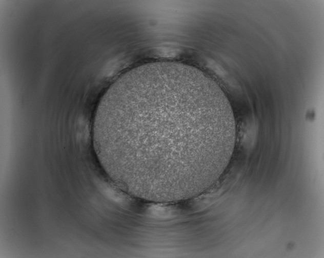 X0000101150568200807111008