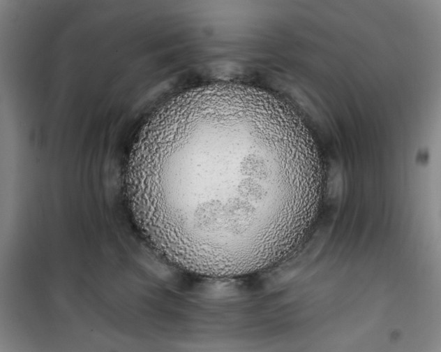 X0000101150569200807111008