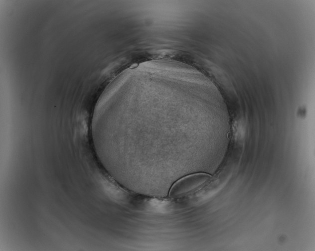 X0000101150570200807111008