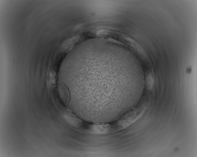 X0000101150571200807111008