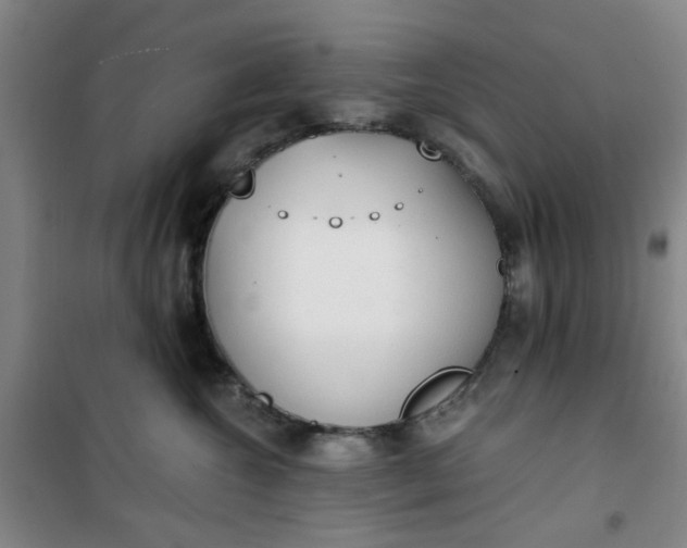 X0000101150572200807111008