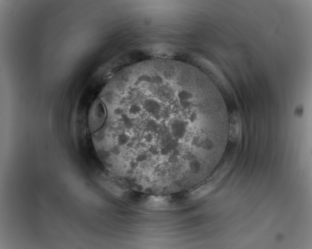 X0000101150573200807111008