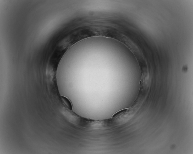 X0000101150574200807111008