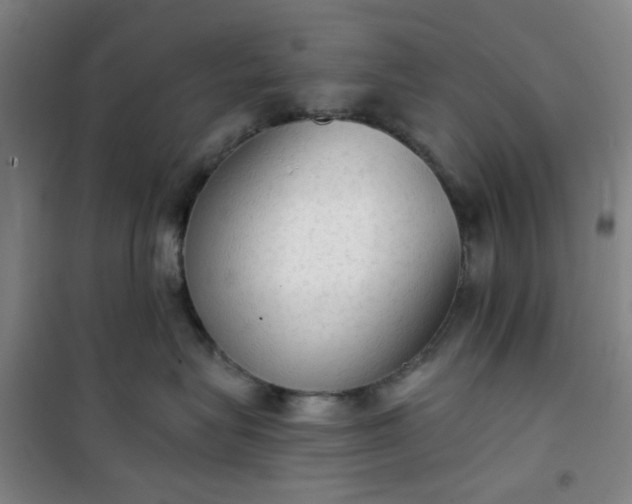 X0000101150575200807111008